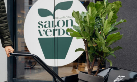 Salon Verde eröffnet 3. Store in Wien