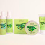 Aloe Vera Pflanzenpower bei STYX Naturkosmetik