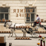 Die Wiener Seife: ein Stück Wiener Handwerkskunst